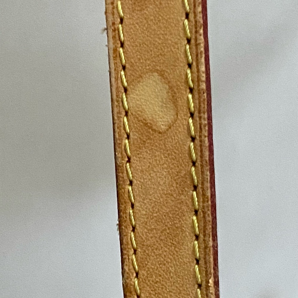 Louis Vuitton Odeon PM Monogram Crossbody Bag - Picture 10 of 16
